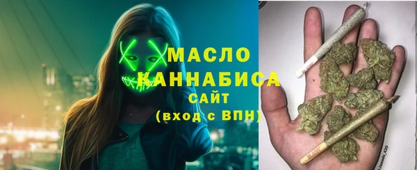 хмурый Вяземский